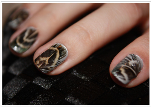Feather nails using real feathers. So cool. ETA: The link for the tutorial