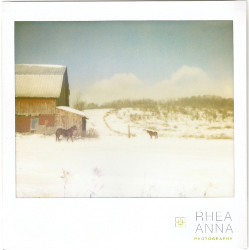 Upstate New York Snow. anna logue. the ever lovely