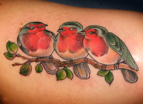 Three little robins. This was a fun piece to do. I always enjoy tattooing 