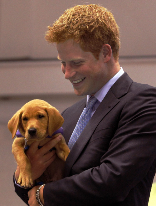 prince harry ginger. tagged prince harry ginger