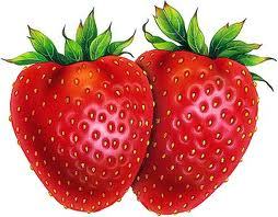 Strawberry merupakan tanaman buah berupa herba yang rata-rata memiliki 200 biji kecil per satu buahnya. Ada 700-an macam jenis strawberry. Salah satu jenis spesiesnya bernama Fragaria chiloensis L. Jenis ini yang menyebar ke berbagai negara Amerika, Eropa dan Asia. Spesies yang lainnya yaitu F. vesca L. Yang satu ini lebih menyebar luas dibandingkan spesies lainnya. Jenis strawberry ini pula yang pertama kali masuk ke Indonesia. Warna merah pada strawberry matang sangat beralasan. Warna merah itu disebabkan karena buah ini kaya pigmen warna antosianin dan mengandung antioksidan tinggi. Mendengar kata antioksidan, anda tentu sudah tahu bahwa itu artinya, khasiatnya sangat banyak. Dan anda benar! Buah strawberry menyimpan nutrisi yang luar biasa. Selain antioksidan tersebut, ia juga kaya serat, rendah kalori, dan mengandung vitamin C, folat, potassium, serta asam ellagic.
Mau tahu khasiat strawberry?
1. Strawberry mampu menyusutkan kadar kolestrol. 2. Strawberry dapat membantu melumpuhkan kerja aktif kanker karena  asam ellagic yang dikandungnya tersebut. 3. Strawberry dapat meredam gejala stroke. 4. Strawberry mengandung zat anti alergi dan anti radang. 5. Konsentrasi tujuh zat antioksidan yang ada pada strawberry lebih tinggi dibandingkan buah atau sayuran lain, sehingga strawberry merupakan buah yang efektif mencegah proses oksidasi pada tubuh (Oksidasi ialah hancurnya jaringan tubuh karena radikal bebas. Oksidasi juga bertanggung jawab pada proses penuaan). 6. Strawberry yang kaya vitamin C sangat bermanfaat bagi pertumbuhan anak. 7. Strawberry yang hanya sedikit mengandung gula juga cocok untuk diet bagi pengidap diabetes. 8. Strawberry yang dimakan teratur dapat menghaluskan kulit dan membuat warna kulit terlihat lebih cerah dan bersih. Khasiat yang terkenal lainnya adalah anti keriput! 9. Strawberry dapat memutihkan atau membersihkan permukaan gigi. 10. Strawberry ampuh melawan encok dan radang sendi. 11. Daun strawberry juga berkhasiat karena memiliki zat astringent. Tiga hingga empat cangkir air hasil rebusan daun strawberry per hari, dapat efektif menghentikan serangan diare. 12. Kebutuhan vitamin C orang dewasa perharinya dapat dicukupi oleh 8&#160;buah strawberry (98&#160;mg). Kebutuhan serat juga sekaligus bisa terpenuhi.
Khasiat-khasiat sampingan juga masih banyak terdapat pada buah ini. Untuk kesehatan, strawberry paling bagus dimakan dalam keadaan segar, baik utuh atau dibuat juice. Khasiatnya jika sudah dibuat selai atau bagian dari makanan olahan, akan sangat berkurang. Karena itu, usahakan mengkonsumsi strawberry segar.