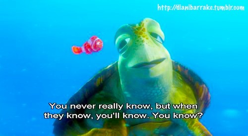 Did You Get the Hidden Parenting Message in Finding Nemo?