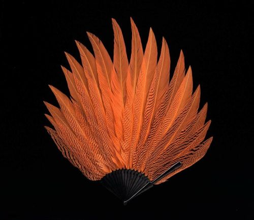 Large Feather Fans