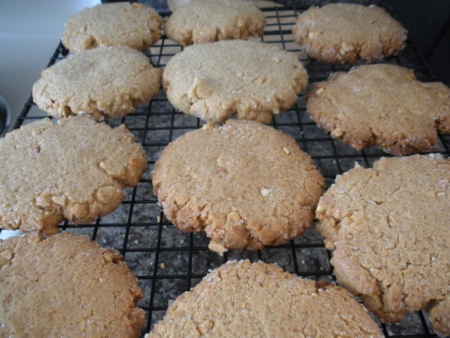 This is how to make a snow day great: the smell (and taste) of fresh peanut butter cookies!  I got the recipe here.  They were delicious, my husband approved!