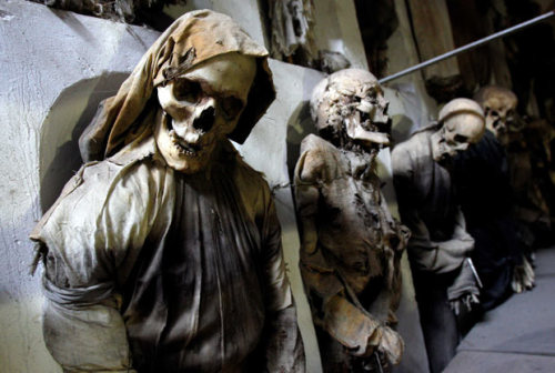 in the Capuchin Catacombs