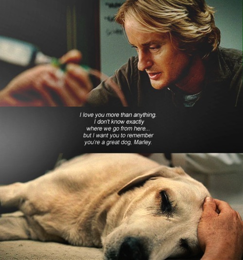marley and me dog dies. tagged as: marley and me.
