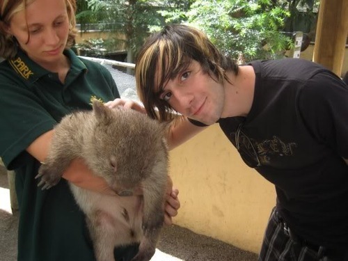 Jack Barakat All Time Low jack barakat all time low band koala australia