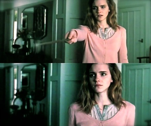 tags Hermione Granger Hermione Obliviate