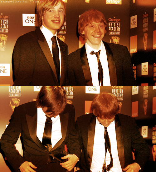 Tags william moseley rupertgrint
