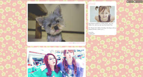 Tumblr Themes,Twitter Backgrounds