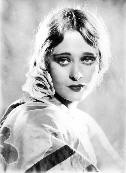 Dolores Costello c 1920s Posted 1 year ago 49 notes