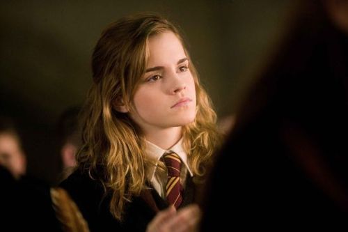 
Perdão, eu não gosto de pessoas só porque são bonitas. - Hermione Granger
