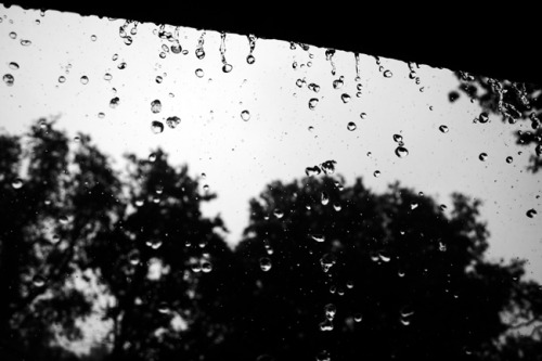 i just love the rain, so much