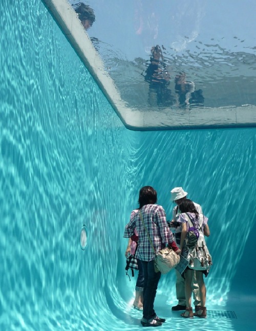 Fake swimming pool from Leandro Erlich