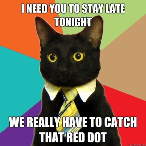 business cat meme. Breaking Meme: Business Cat