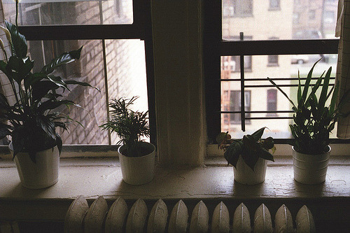 crever:

(by …whenwewereyoung)