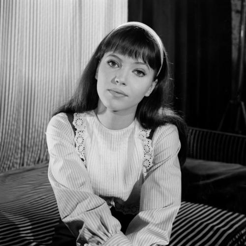 Anna Karina Posted 11 months ago with 80 notes