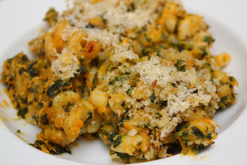 Macaroni and Cheese with Squash and Spinach on Flickr.