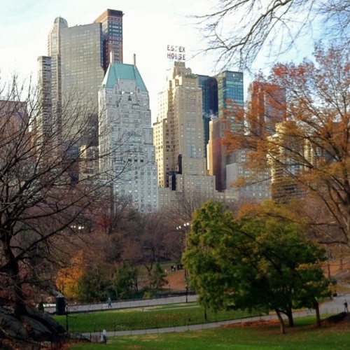 central park new york fall. Square). #flashbackfriday