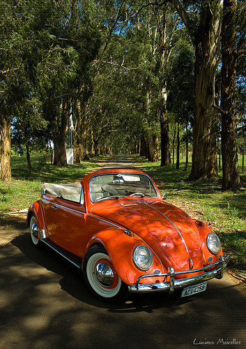Hot hot summer day Starring Volkswagen Beetle by Luciano Meirelles 