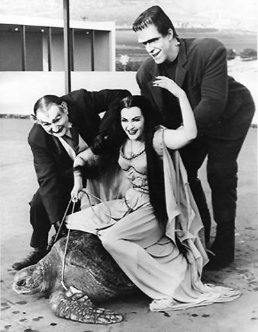 tagged as the munsters lily munster 60's Yvonne De Carlo vintage