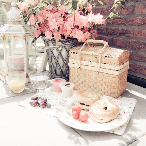lovely picnic, love the soft tones. Looks like a vintage picnic &lt;/3