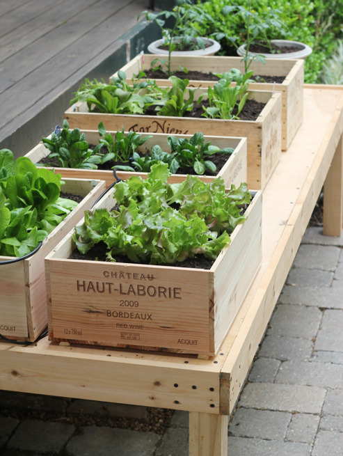 wine box vegetable garden (via llh designs)