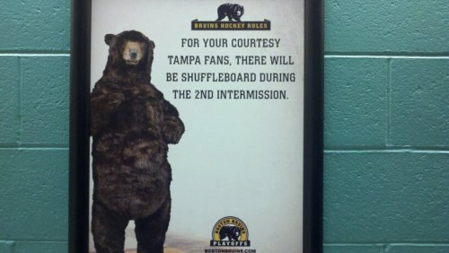 boston bruins bear posters. The Bruins bear STRIKES AGAIN.