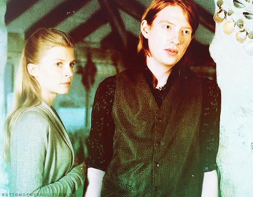 Bill Weasley and Fleur Delacour at Shell Cottage