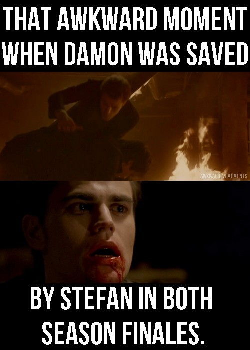 imma-dobsleyholic:  The awkward moment when even after this people still hate on Stefan! 
