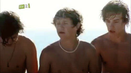 lordnyny:  usadirectioners:  Well fuck. Niall looks like a surfer.   ^ You can ride my board Niall (; hahaha for the comments :)