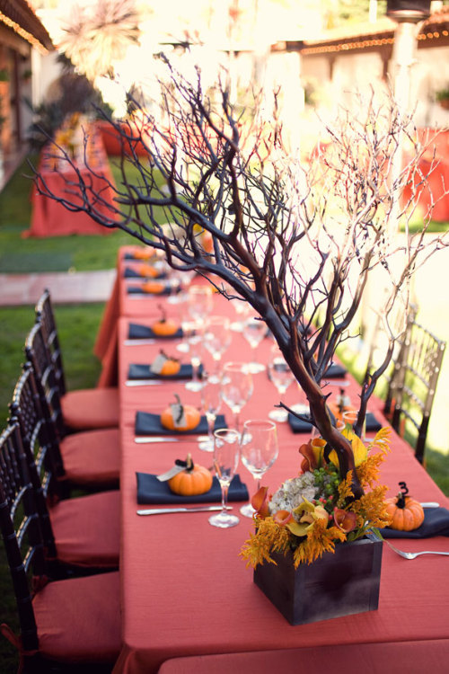 Posted 10 months ago Filed under halloween wedding theme table setting 