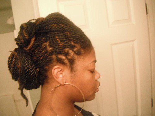 eclecticalexandria:

# self-portrait
an older photo of last years waist length senegalese/kinky twist mix that I fashioned into two buns :-)
