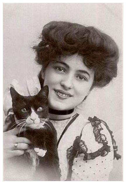 Tagged Evelyn Nesbit Edwardian era actress tuxedo cat 1900s vintage 