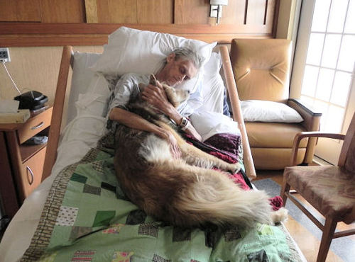 ireallywannabewithu:  A picture is worth a thousand words… A dying man holding his best friend. He lived homeless in Iowa with his dog in a car. When he became terminally ill and placed in hospice, his only request was to hold his dog one last time before passing on. Two souls quietly saying their goodbyes. 