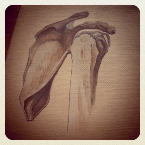 Shoulder blade 3 x 5 painting by Constance(Taken with instagram)