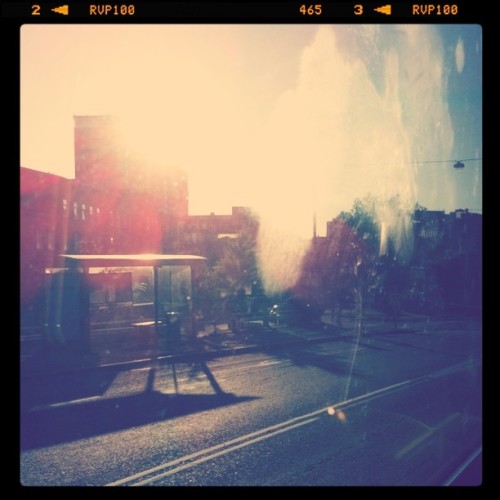 I love the sun. (Taken with instagram)