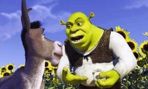 
Shrek: Mas eu te fiz chorar, porque ainda esta aqui?
 Burro: Amigos não são apenas pra risadas e momentos felizes.
