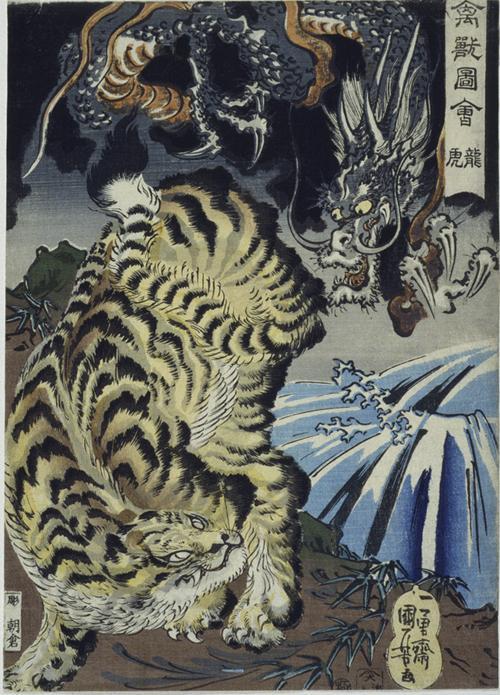 Tiger and Dragon from Birds