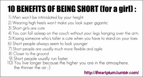 ... Tumblr , Short People Sayings , Short People Problems , Funny Short