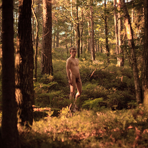 wildmen:

I’m smaller than the trees / Jeg er mindre end træerne 
by Grundvold (Thomas Petersen) of Flickr.
