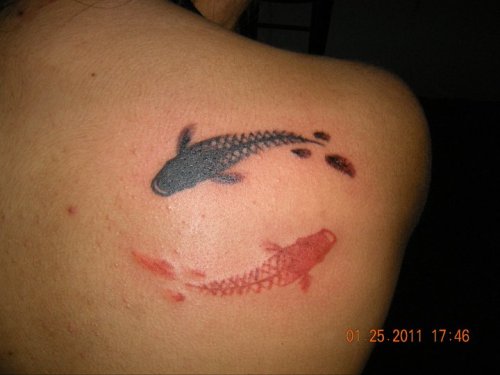This is my koi fish tattoo I wanted to start off with a small tattoo that 