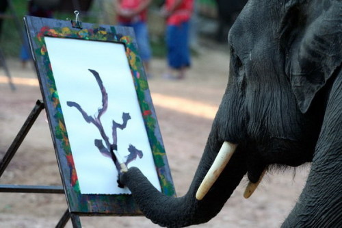 Elephant Drawings