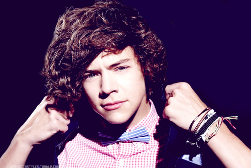 its-lirry:  stylestomlinsonlover:  zayn-fucking-malik:  curlytopstyles:  lovingharrystyles:  harrysbitch:  forever reblog.  I want to have sex with this picture  you sexy fuck  put your penis inside me right now.  unf  ^ classy girls are classy   omg