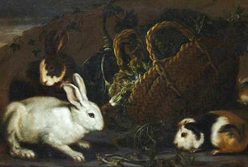 Giovanni Agostino Cassana
Rabbits, Guinea Pigs and a Basket of Herbs
Late 17th - early 18th century