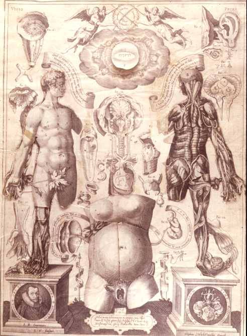 lonerwitch:  Catoptrum microcosmicum, 1619, Johan Remmelin 