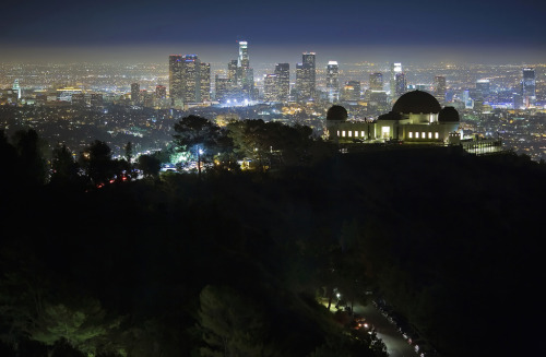 caringforapathy:

LA Night Scene by airbutchie on Flickr
