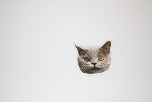OFWGKTA cat sticker