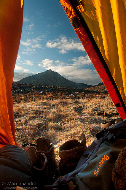 viewfromthetent:

Morning View From Our Tent by Marc Shandro on Flickr.
