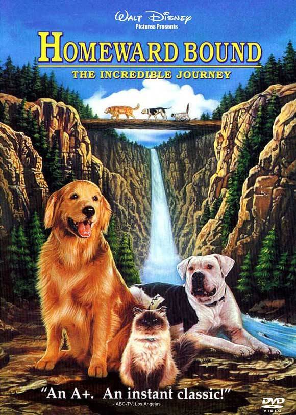 Homeward Bound: The Incredible Journey movie
